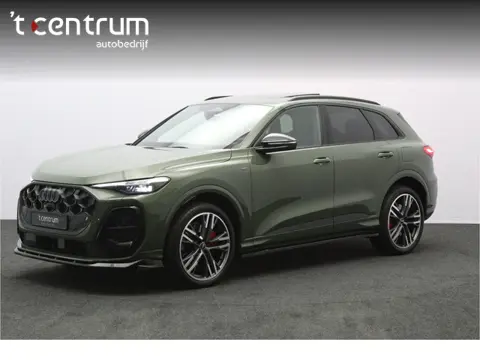 Audi Q5 2.0 TFSI e-hybrid 367 PK Quattro S-Line Competition PHEV, Panoramadak, 360 Camera, Winterpak