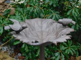 Vogelbad ,jose