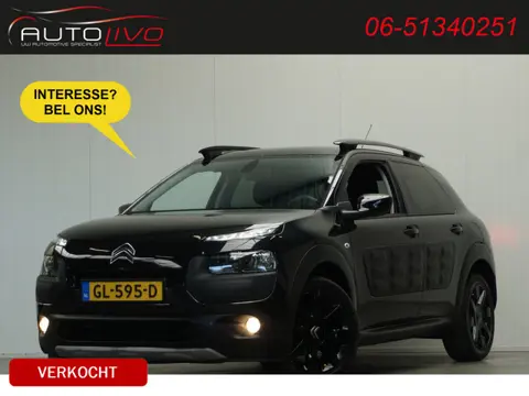 Citroën C4 Cactus 1.6 BlueHDi Business Plus PANO LEER CLIMA CAMERA TREKHAAK etc.