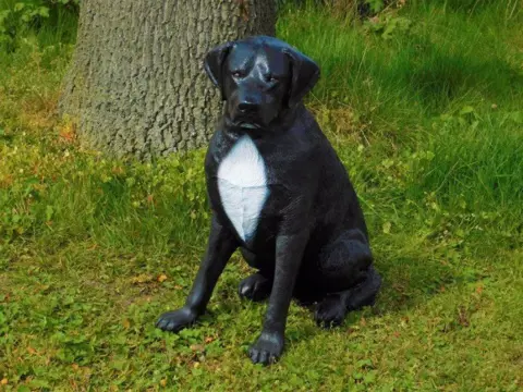 Rottweiler, hond , beeld van een hond