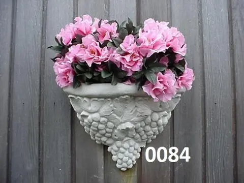 Druiven bloembak hang