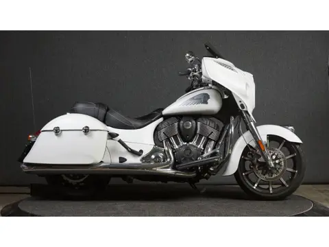 Indian Chieftain Dark Horse Prachtige White Smoke Chieftain!