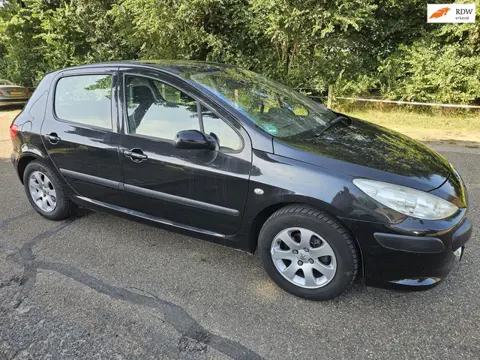 Peugeot 307 1.6-16V XS