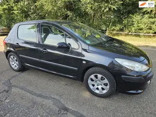 Peugeot 307 1.6-16V XS