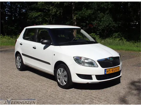 Škoda Fabia 1.2 Drive (bj 2010)