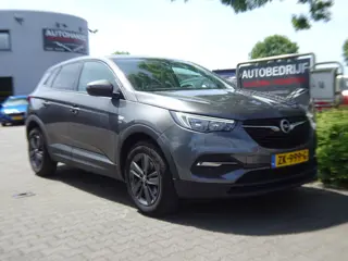 Opel Grandland X 1.2 Turbo 120 Jaar Edition (bj 2019)