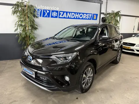 Toyota RAV4 2.5 Hybrid First Edition // Led kopl. // Camera // Cruise