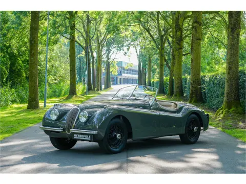 Jaguar XK120 OTS M1213 (bj 1951)