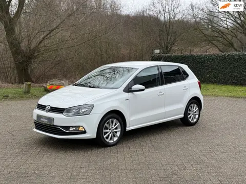 Volkswagen Polo 1.0 High Line CRUISE I PDC I CLIMA I COLL ONDH I ZEER MOOI