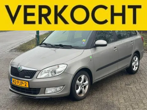 Skoda Fabia Combi 1.2 TDI Greenline Airco/1 jaar APK