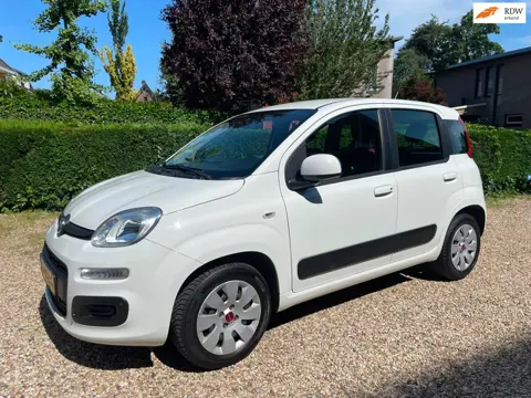 Fiat Panda 1.2 Edizione Cool