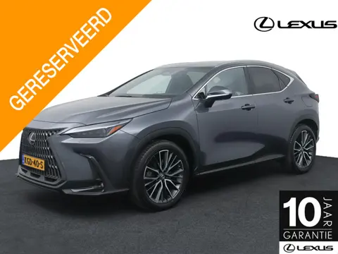 Lexus NX 450h+ AWD Executive Line | Afn. Trekhaak | Triple Led | Stoelgeheugen | Head-Up Display | V