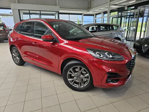 Ford Kuga 2.5 PHEV ST-Line X  TREKHAAK - CAMERA V+A