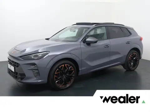 CUPRA Terramar 1.5 TSI e-Hybrid VZ America s CUP | 272 PK | SoH 100% | Panoramadak | 360 graden came
