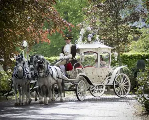 CINDERELLA KOETS TE HUUR