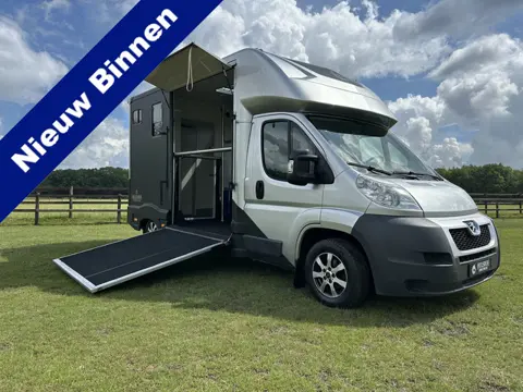 Peugeot Boxer 2-paards paardenvrachtwagen MARGE 3.0l 180PK B-rijbewijs