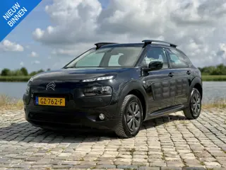 Citroen C4 Cactus 1.6 BlueHDi Business|Camera|D-Riem Vervangen