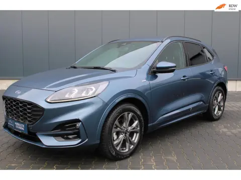 Ford Kuga 1.5 EcoBoost ST Line Caravantrekker