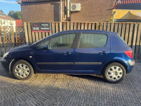 Peugeot 307 1.6-16V XS
