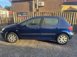 Peugeot 307 1.6-16V XS