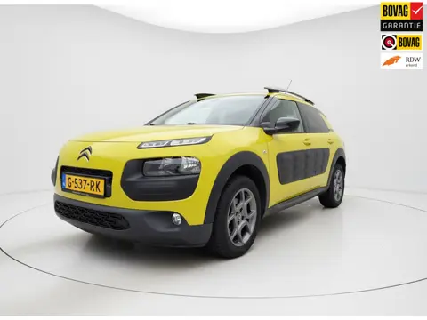 Citroen C4 Cactus 1.2 PureTech Shine|Camera|Nieuwe Distributieriem !