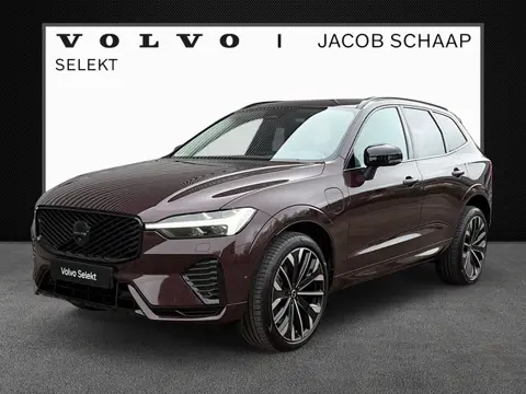 Volvo XC60 T6 350PK Plug-in hybrid AWD Ultra Dark / Black Sheep pakket / Luchtvering / Nordico bekle