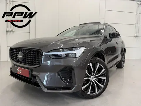 Volvo XC60 T6 Recharge AWD R-Design Long Range PLATINUM-GREY/PANO/TREKHAAK/20"/LEER-SPORT/ACC/PILOT-