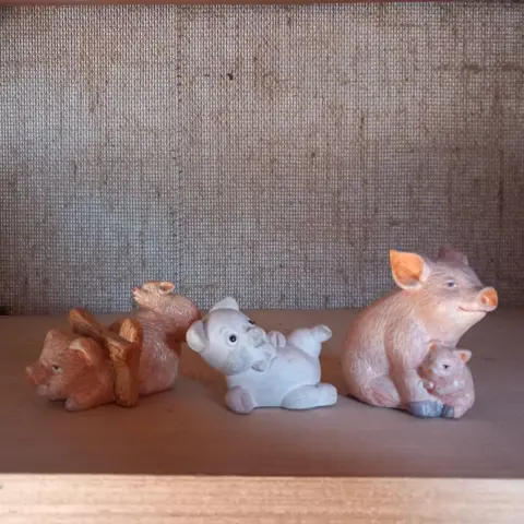 letterbak - dieren