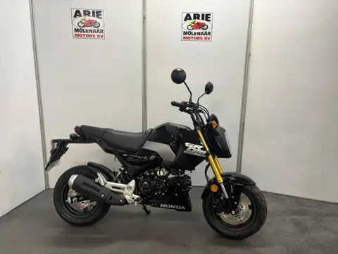 Honda MSX 125 (bj 2026)