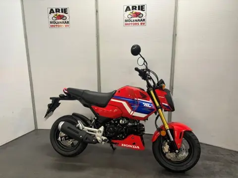 Honda MSX 125 (bj 2026)