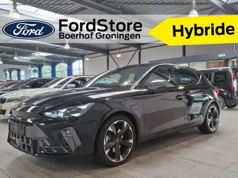CUPRA Leon 1.5 TSI e-Hybrid 204pk Business | Stoel- en stuurwiel verwarming | Adapt. Cruise | FACELI