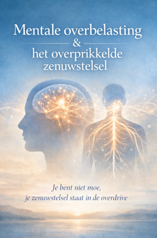 Mentale Overbelasting & Het overprikkeld Zenuwstelsel