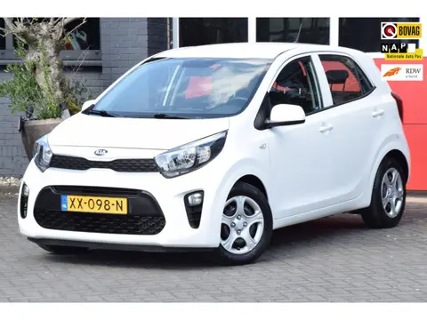 Kia Picanto 1.0 CVVT EconomyPlusLine 2019 Airco 15x op voorraad