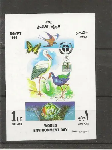 Egypte Environment Day