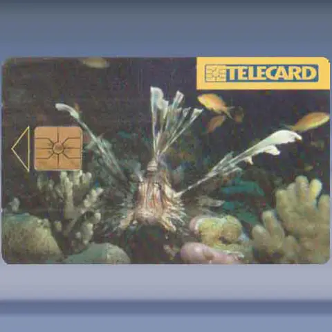 Sea Fish-Pterois miles (1997)