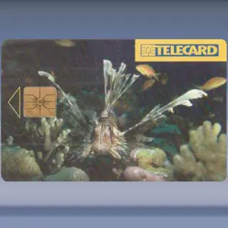 Sea Fish-Pterois miles (1997)
