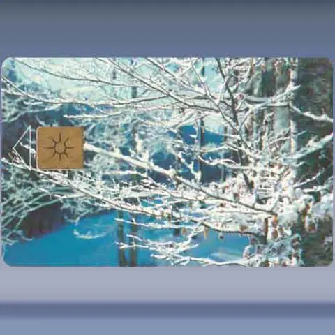 Winter (1996)