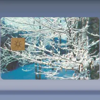 Winter (1996)