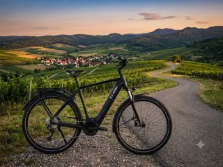 CUBE Touring Pro Framemaat 57 cm 625 WH accu