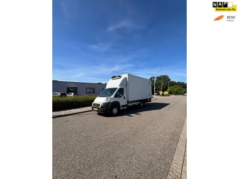 Fiat Ducato MAXI 35H 2.3 MultiJet XLH1 KOELWAGEN met LAADKLEP