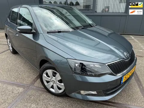 Skoda Fabia 1.0 TSI Ambition | NAP | CRUISE | BLUETOOTH |