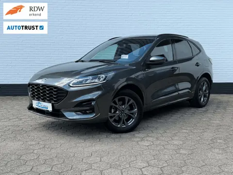 Ford Kuga 2.5 PHEV ST-Line ACC l HEAD-UP l CAMERA l TOPSTAAT!