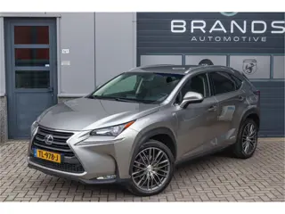 Lexus NX 300h AWD Luxury Line HEV Navi Clima Leder Camera