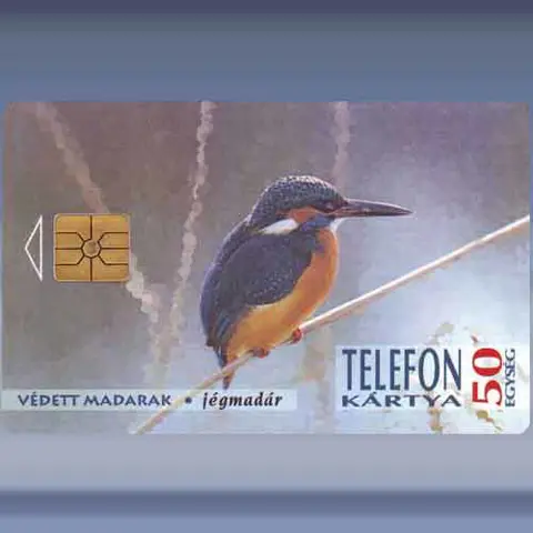IJsvogel (1994)