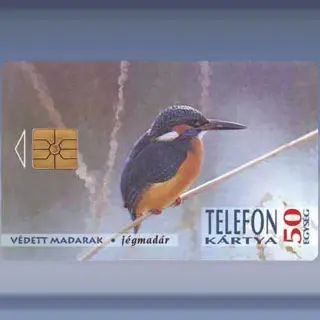 IJsvogel (1994)