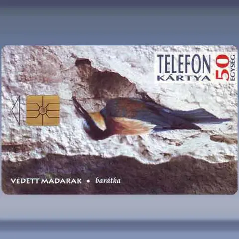 Baratka (1994)