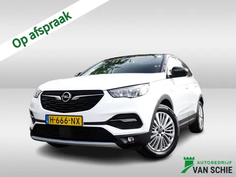Opel Grandland X 1.2 Turbo Innovation 1e-Eig. & Dealer-Onderh. BOVAG-Garantie. NL-Auto.
