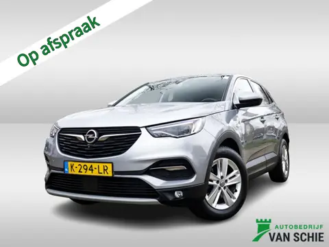 Opel Grandland X 1.2 Turbo Business Elegance 1e-Eig. & Keurig-Onderh. BOVAG-Garantie. NL-Auto