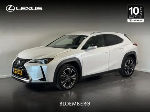 Lexus UX 250h Preference Line (bj 2021, automaat)