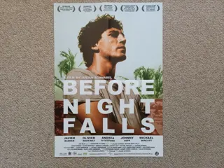 BEFORE NIGHT FALLS filmposter.